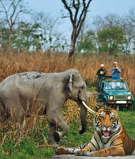 About Jim Corbett